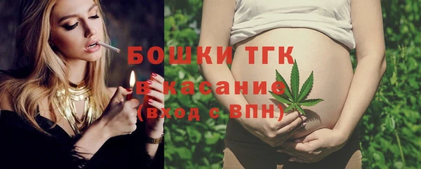 индика Бородино