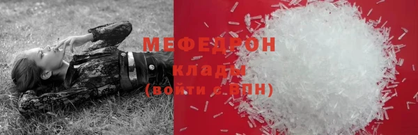 индика Бородино