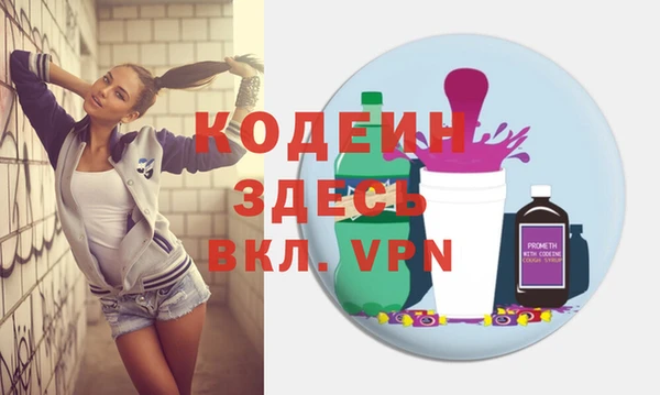 индика Бородино