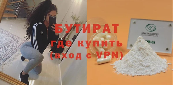 индика Бородино