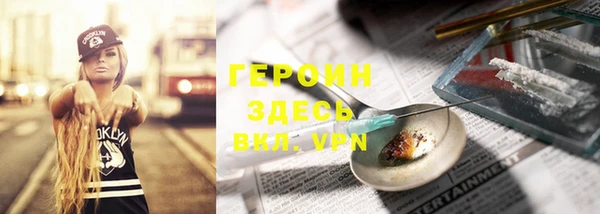 индика Бородино