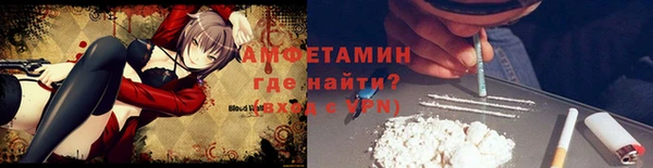 индика Бородино