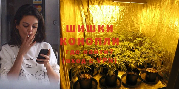 индика Бородино