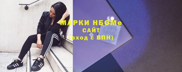 индика Бородино