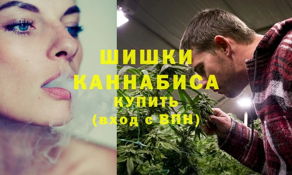 бошки Няндома