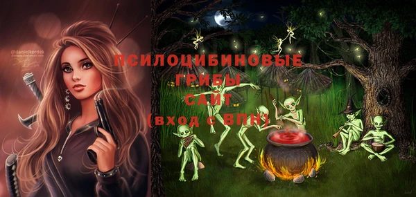 индика Бородино