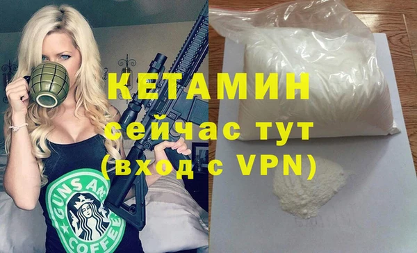 индика Бородино