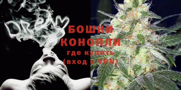 индика Бородино