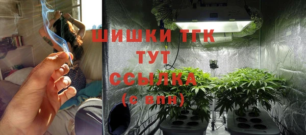 индика Бородино