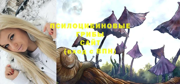 прущий лед Бронницы