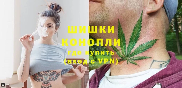 индика Бородино